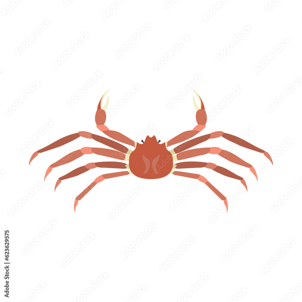 ズワイガニ(ホンズワイガニ)。フラットなベクターイラスト。
Snow crab (opilio crab, opies). Flat designed vector illustration. ズワイガニ(ホンズワイガニ)。フラットなベクターイラスト。
Snow crab (opilio crab, opies). Flat designed vector illustration.