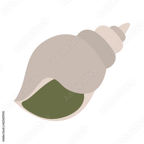 エッチュウバイ（白バイ貝）。フラットなベクターイラスト。
. Flat designed vector illustration.