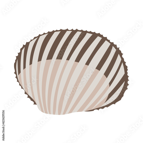 サルボウ貝。フラットなベクターイラスト。
Anadara kagoshimensis. Flat designed vector illustration.