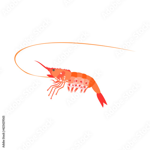 ボタンエビ。フラットなベクターイラスト。
Botan Shrimp. Flat designed vector illustration.