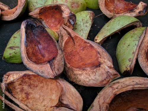 Coconut shells, which are being dried, are used to start fires and roast meat