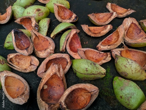 Coconut shells, which are being dried, are used to start fires and roast meat