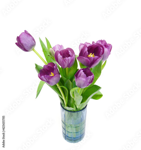 Colorful tulip flowers  isolated on white 