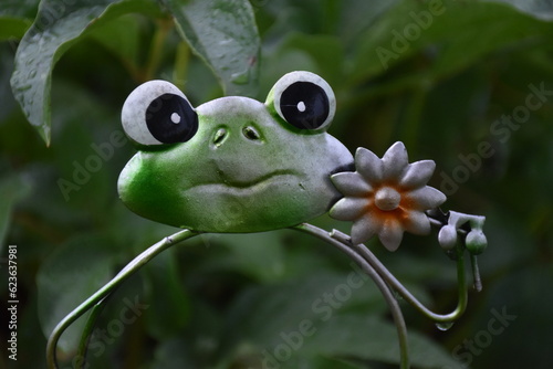 Fototapeta Naklejka Na Ścianę i Meble -  Frog Decoration