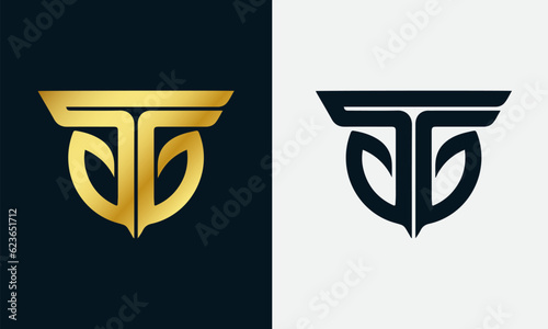 Alphabet letters monogram icon logo GT or TG, Alphabet letters Initials Monogram logo TG, TG letter, logo vector, tg icon vector
