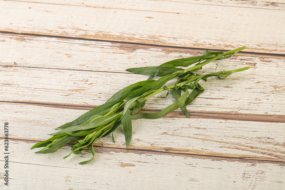 Green tarragon herb spice for cooking Green tarragon herb spice for cooking