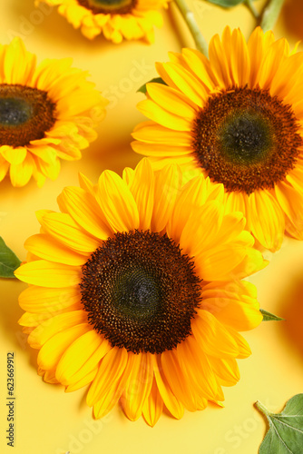 Beautiful sunflowers on yellow background