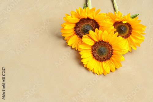 Fototapeta Naklejka Na Ścianę i Meble -  Beautiful sunflowers on brown background
