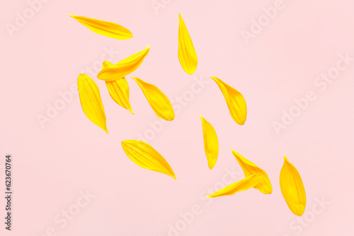 Tableau sur toile Flying sunflower petals on pink background