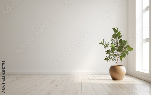 Empty white room interior with plant pot on a wooden floor