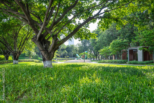 Yanjiang Park, Zengcheng District, Guangzhou, China photo