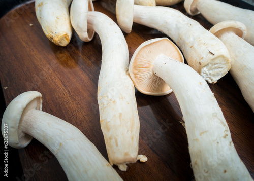 Table Top shot of Big Milky Mushroom, Calocybe Indica with long body stump and big circular crown. . India photo