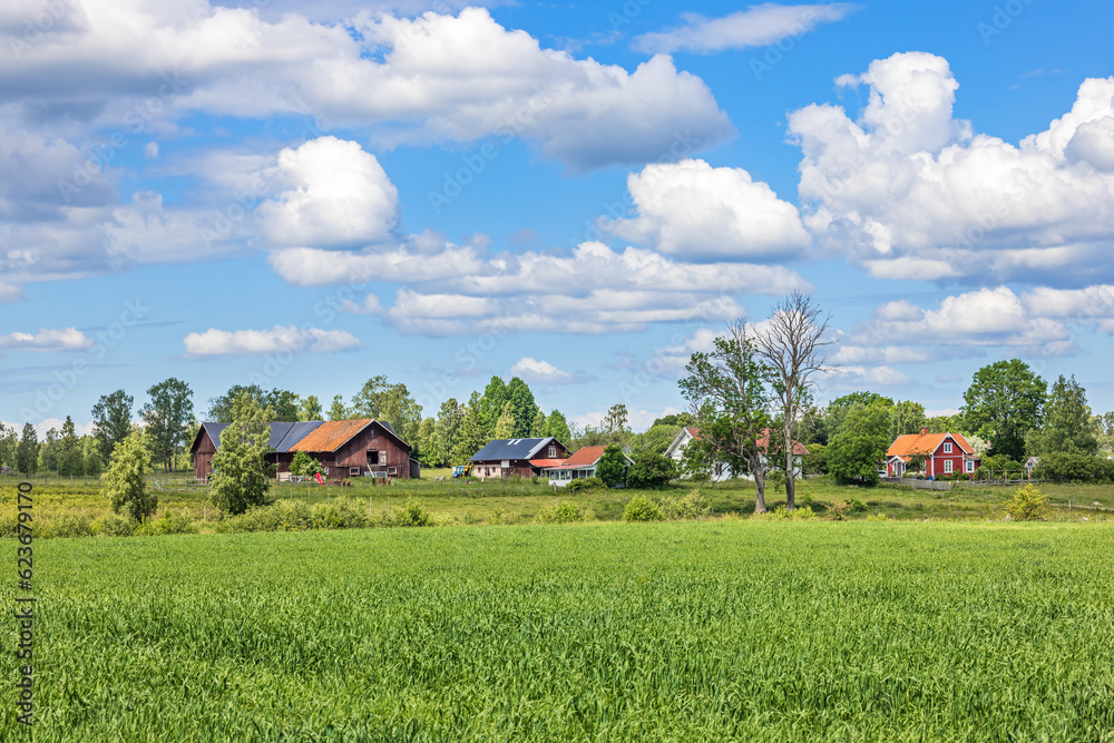 Rural landscape view with a farm Rural landscape view with a farm