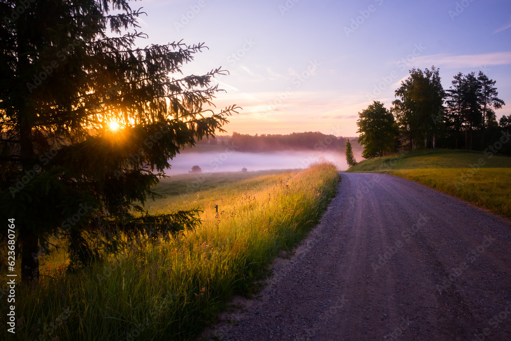 Golden Pathways: Serene Gravel Road in the Summer Sunlight in Northern Europe Golden Pathways: Serene Gravel Road in the Summer Sunlight in Northern Europe
