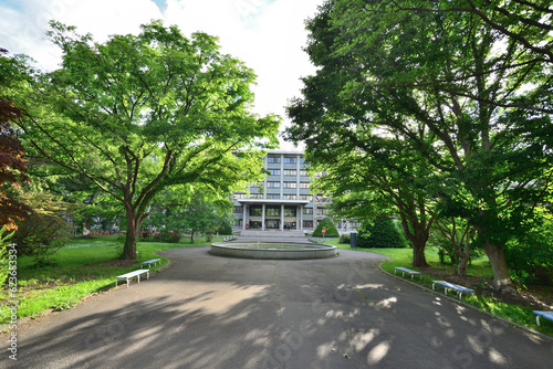 正面から眺める北海道大学工学部棟
