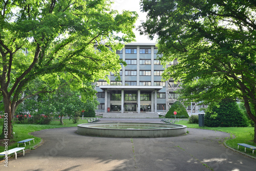 正面から眺める緑に覆われた学び舎 北海道大学工学部棟