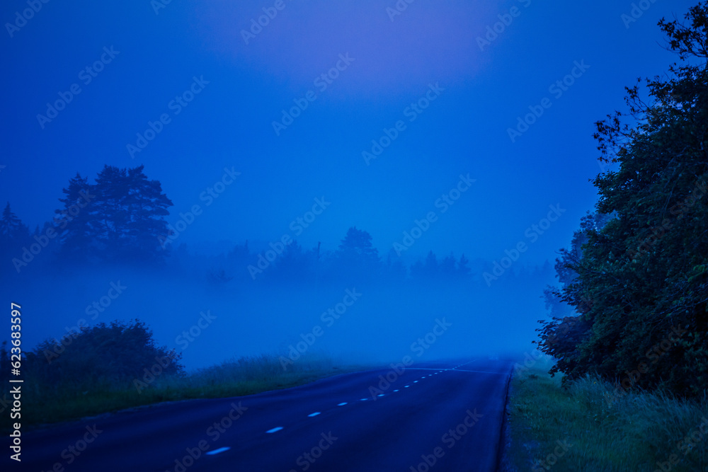 Mystical Serenity: Foggy Summer Morning in the Countryside in Northern Europe