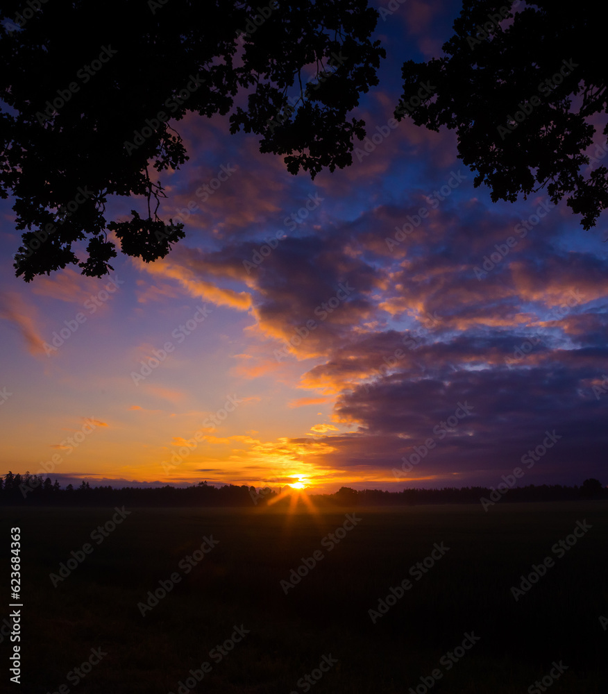 Fototapeta premium Radiant Dawn: Majestic Colorful Sunrise Painting the Summer Fields in Northern Europe