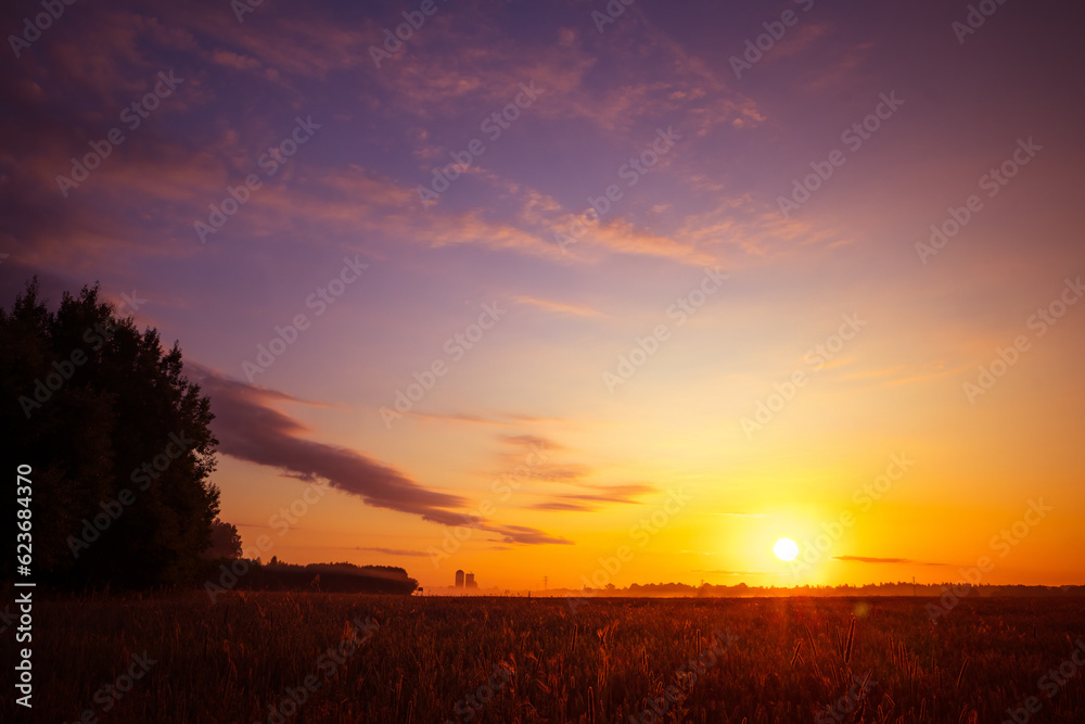 Radiant Dawn: Majestic Colorful Sunrise Painting the Summer Fields in Northern Europe Radiant Dawn: Majestic Colorful Sunrise Painting the Summer Fields in Northern Europe