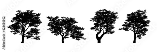 various detailed tree silhouette collection