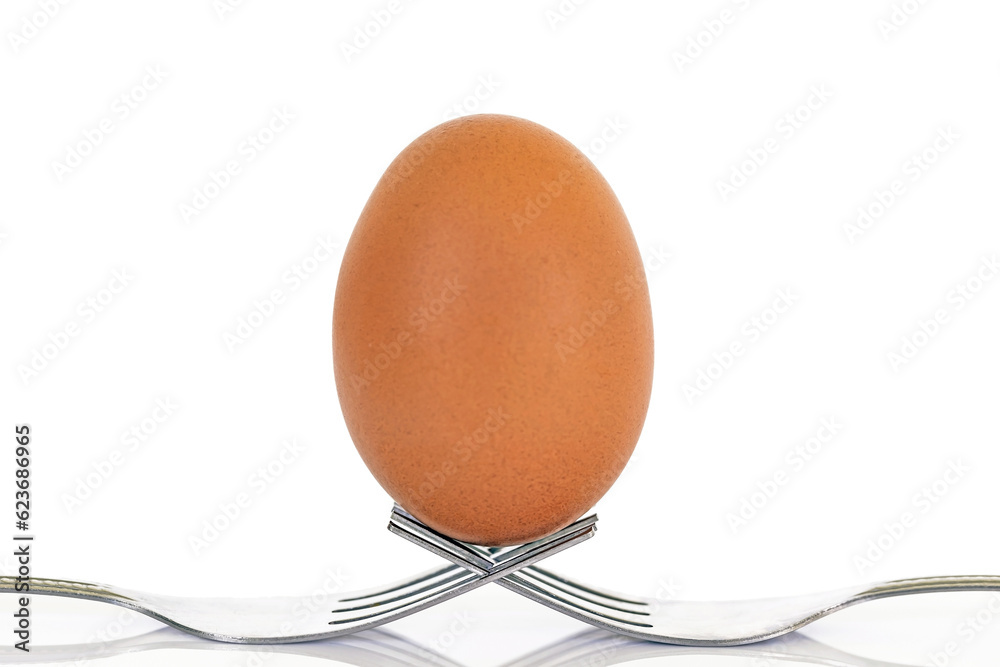A fresh chicken egg sits on a fork in white background A fresh chicken egg sits on a fork in white background