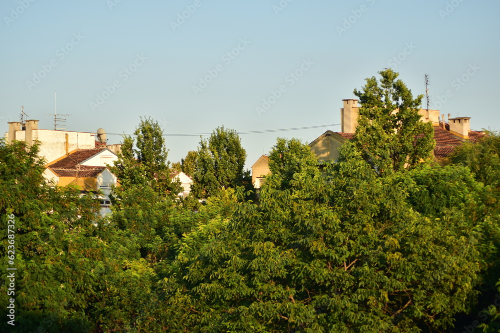 view of the town behind trees