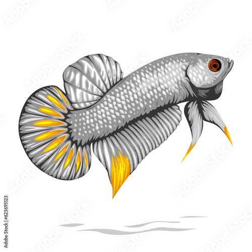 Detailed betta fish vector with white scales and half gold fin isolated on white background, suitable for your icon, logo, or poster design