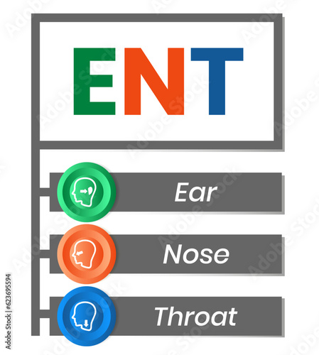 ENT Ear Nose Throat acronym, medical concept background. vector illustration concept with keywords. lettering illustration with icons for web banner, flyer, landing page