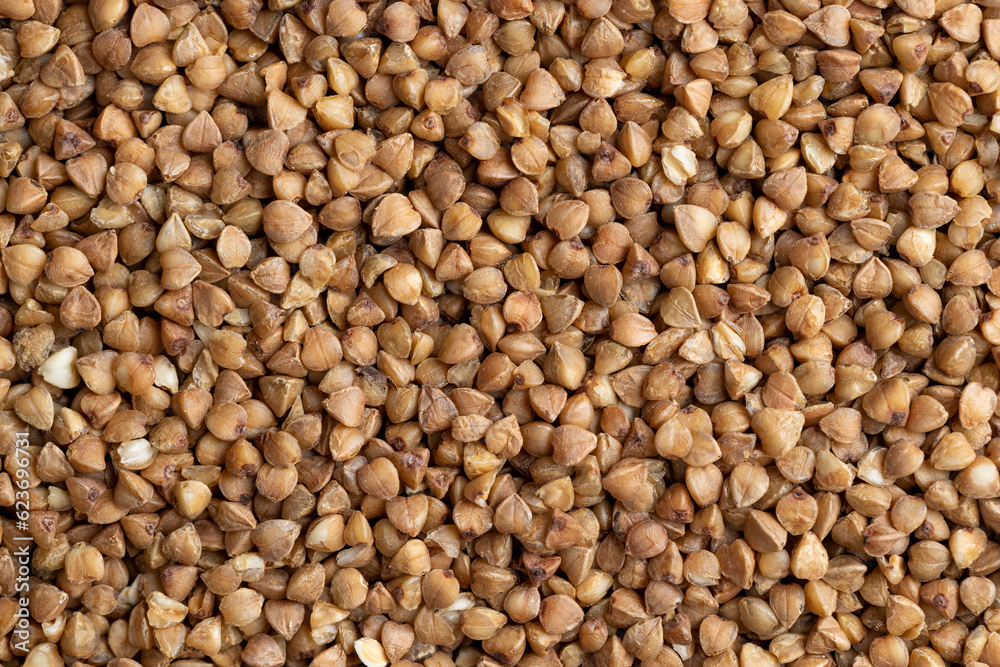 A large amount of harvested buckwheat A large amount of harvested buckwheat