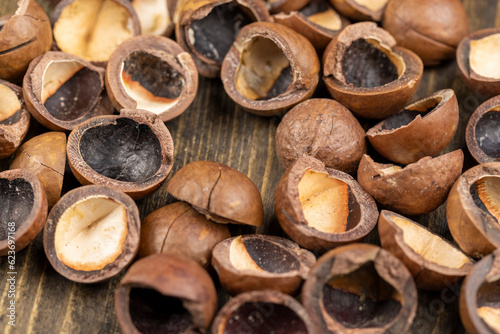 A bunch of ripe macadamia nuts in a hard shell