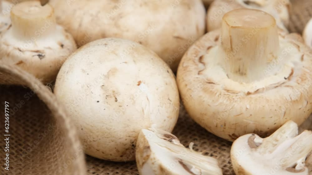 mushrooms on the table mushrooms on the table