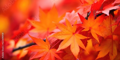 Autumn colorful leaves background, Falling leaves natural background, generative ai © OP38Studio