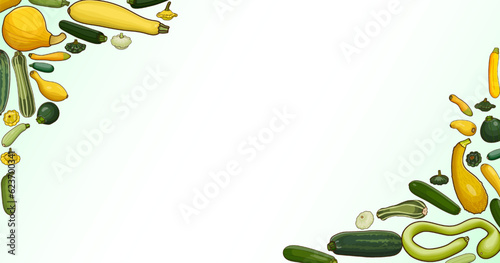 Rectangular banner with different types of summer squash. Cucurbita. Cucurbitaceae. Fruits and vegetables. Isolated vector illustration. Horizontal template. Cartoon style.