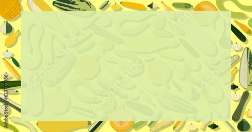 Rectangular banner with different types of summer squash. Cucurbita. Cucurbitaceae. Fruits and vegetables. Isolated vector illustration. Horizontal template. Flat style.