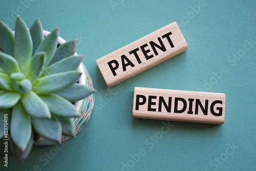 Patent Pending symbol. Concept word Patent Pending on wooden blocks. Beautiful grey green background with succulent plant. Business and Patent Pending concept. Copy space