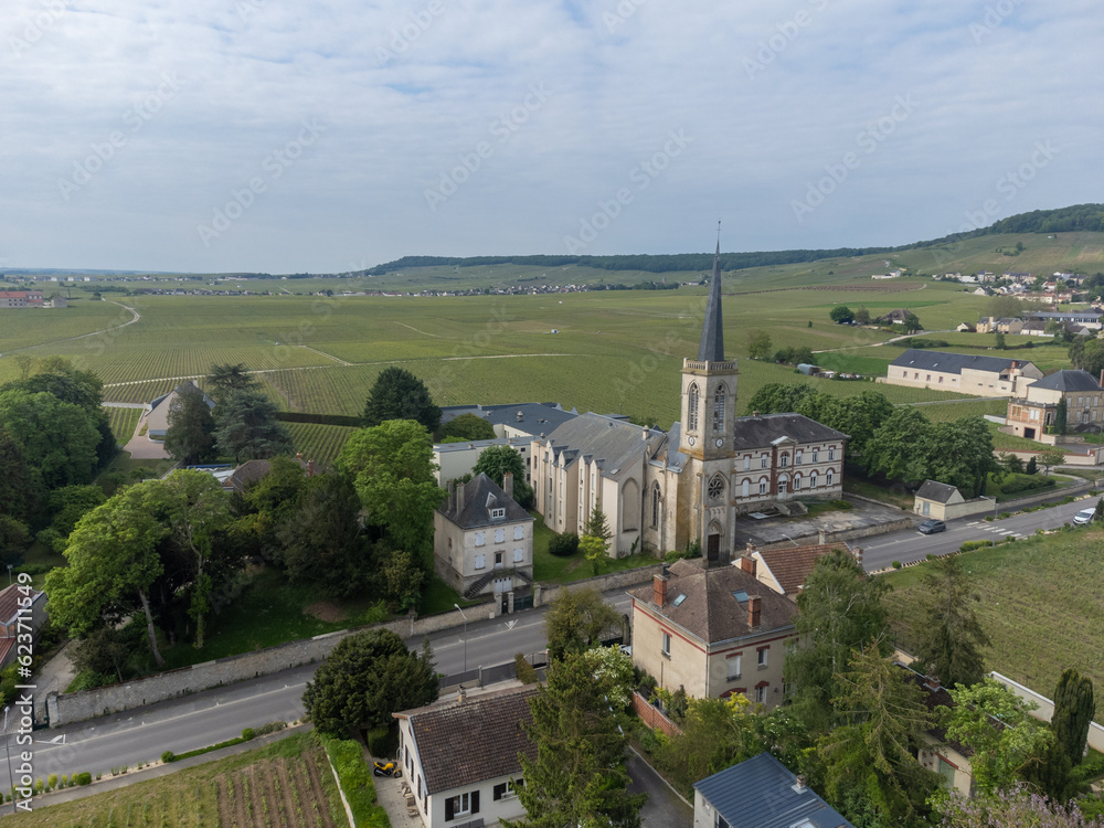 Panoramic aerial view on green grand cru champagne vineyards near villages Avize and Oger, Cotes des Blancs, Champange, France