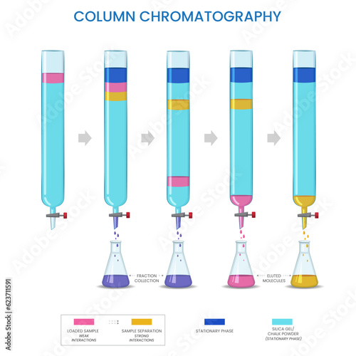 Column chromatography is a technique used to separate and purify different components of a mixture based on their differential interactions with a stationary phase and a mobile phase