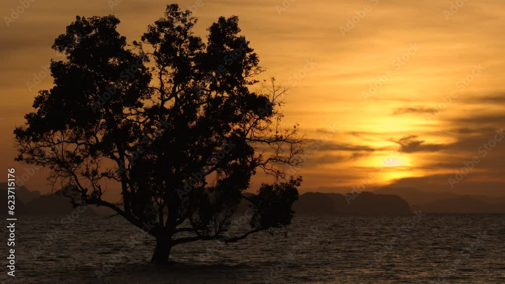 Beautiful moving cloud in sweet sky at sunset in Kata beach Phuket Thailand 4k stock footage video in travel concept. Beautiful moving cloud in sweet sky at sunset in Kata beach Phuket Thailand 4k stock footage video in travel concept.