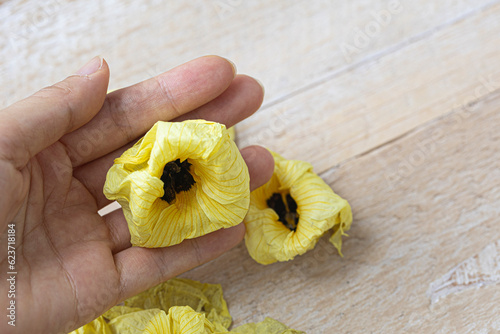 Aibika flower, Sunset Muskmallow, Sunset Hibiscus, Hibiscus Manihot. photo