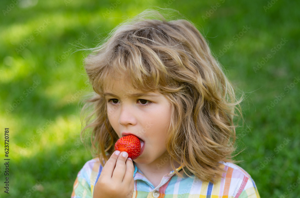 Summer cute kid face. Close up kids face with strawberry in mouth. Child eat strawberry berries in the summer. Kid is picking berry strawberry in the garden. Summer cute kid face. Close up kids face with strawberry in mouth. Child eat strawberry berries in the summer. Kid is picking berry strawberry in the garden.