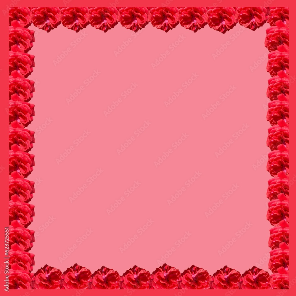 Obraz premium frame with flowers 