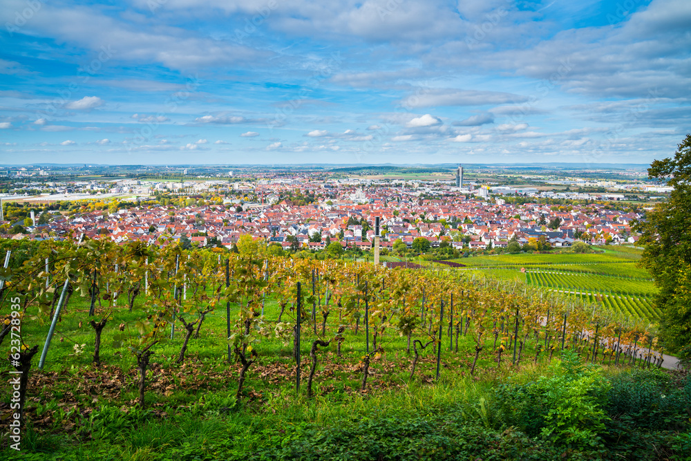 Germany, Fellbach city skyline vineyard panorama view autumn season above roofs houses tower at sunset mood with blue sky and sun