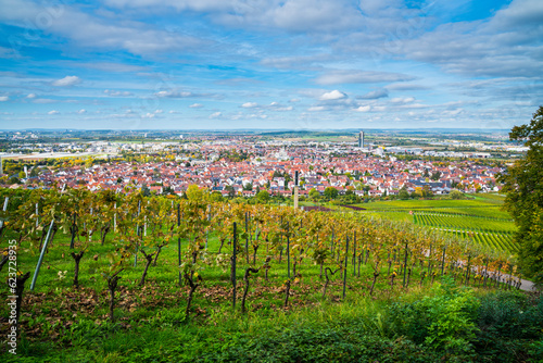 Obraz na płótnie Germany, Fellbach city skyline vineyard panorama view autumn season above roofs houses tower at sunset mood with blue sky and sun w salonie