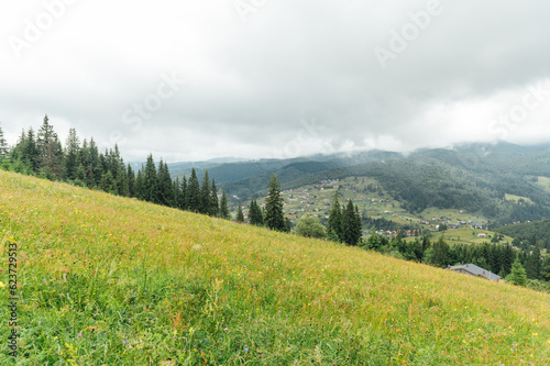 Green Ukrainian mountains. Summer time. Beautiful views of the largest peaks.
