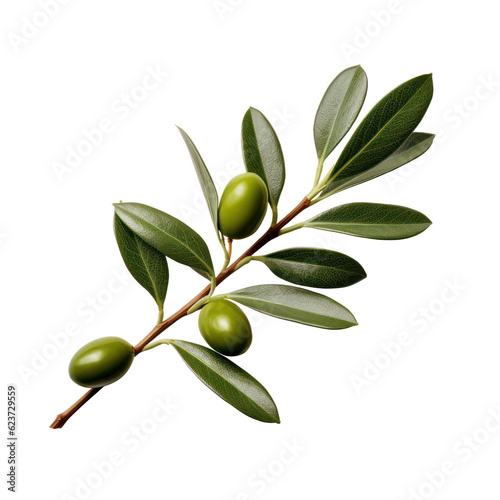 Wallpaper Mural Olive tree branch, green olives and leaves isolated on transparent background, PNG Torontodigital.ca