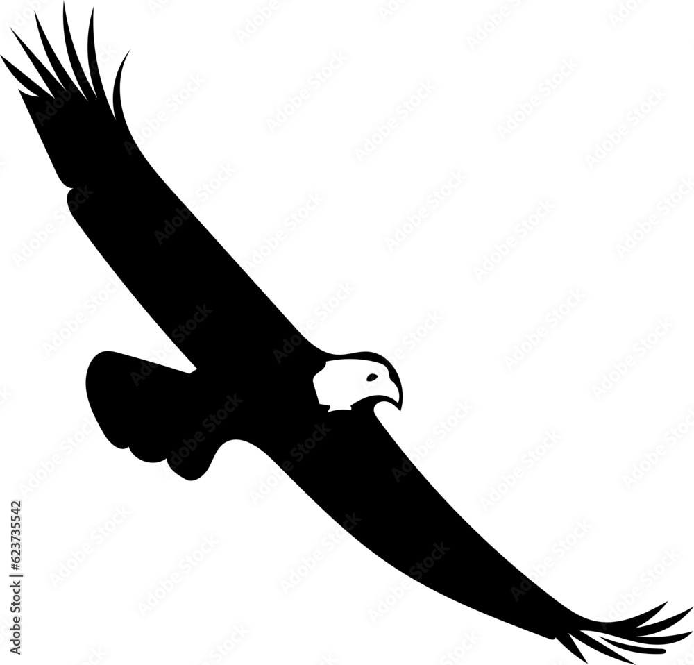 eagle in flight eagle in flight