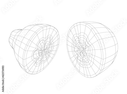 Papaya fruit wireframe vector icon, drawing monochrome illustration. Healthy nutrition, organic food, vegetarian product. Papaya hand drawn vector illustration. Sweet Exotic Thailand asian papaya. 3D