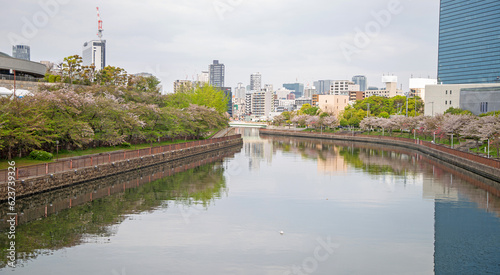 Full of cherry blossom trees on both sides of the canal.