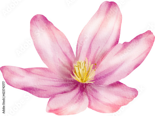 Pink Watercolor Flower illustration © Moko22