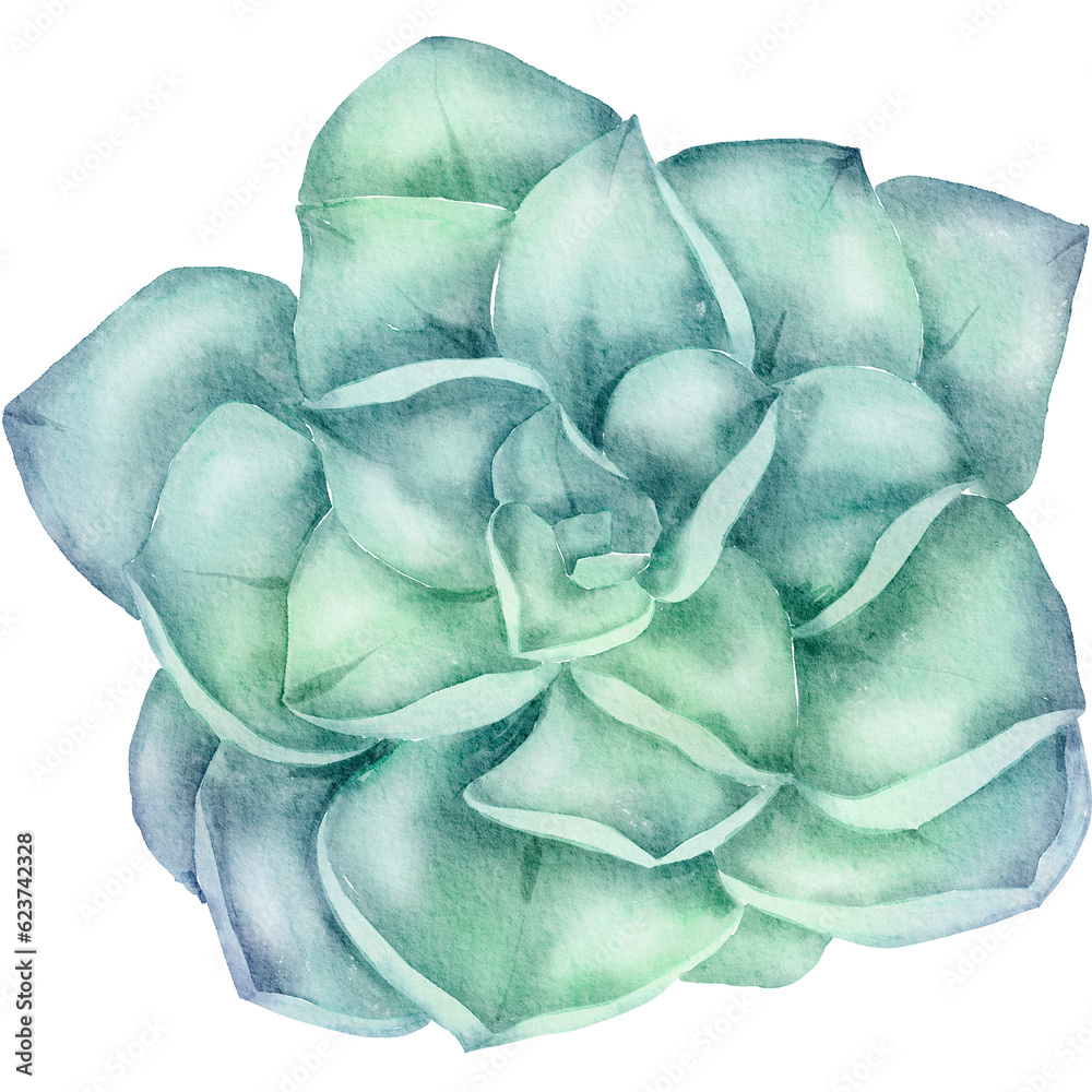 Obraz premium Green Flower Watercolor illustration